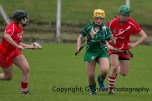 camogie replay (56)